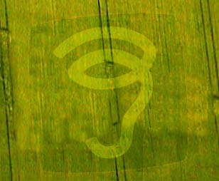 Mysterious BeOS Crop Circle