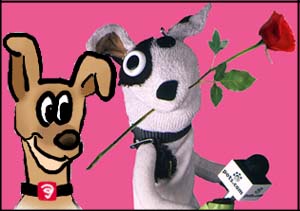 sock puppet love is in the air